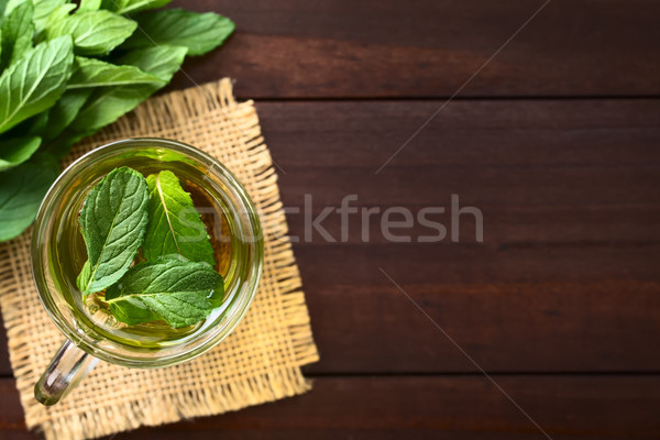 Fresh Mint Herbal Tea Stock photo © ildi