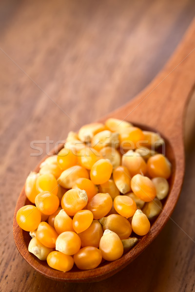 Yellow Popcorn Kernels Stock photo © ildi
