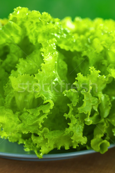 Salată verde proaspăt albastru placă focus selectiv concentra Imagine de stoc © ildi