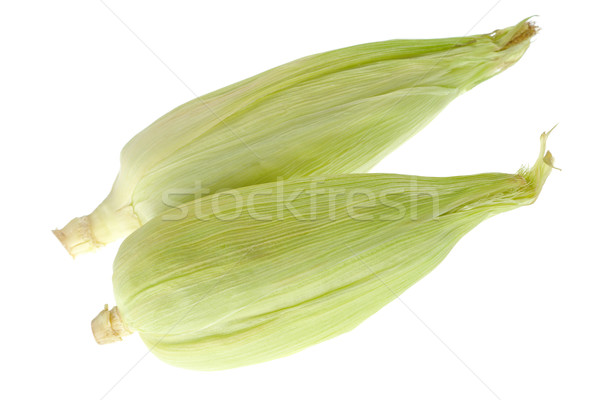 Corn Cobs on White Stock photo © ildi