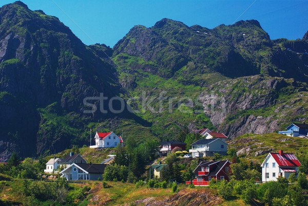 Settlement on the Lofoten Islands Stock photo © ildi