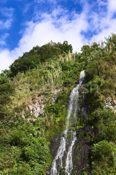 El Cabello del Virgen Waterfall in Banos, Ecuador Stock photo © ildi