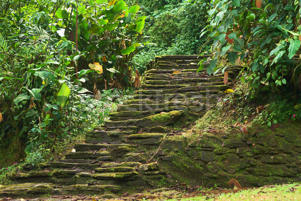Stone Stairs in Ciudad Perdida, Colombia Stock photo © ildi