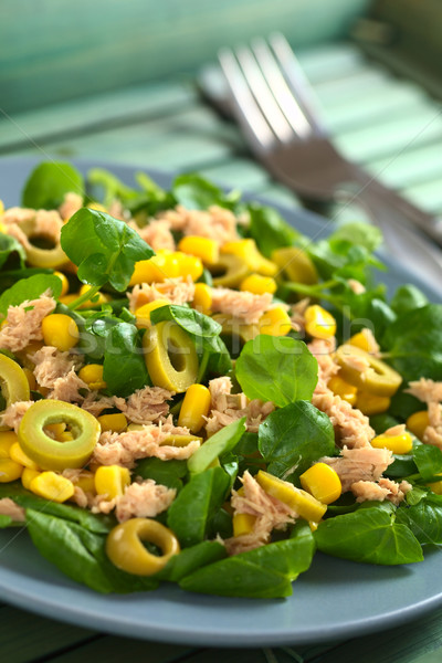 Tuna Sweetcorn and Olive Salad Stock photo © ildi