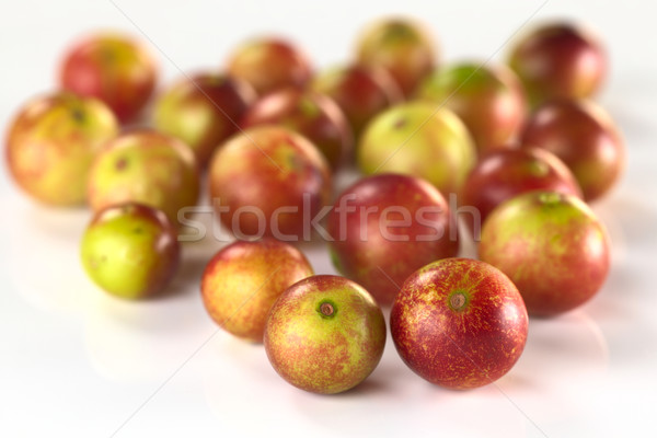 Owoce Berry dorosły amazon region wysoki Zdjęcia stock © ildi