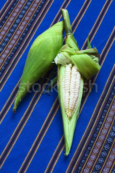 White Corn Called Choclo (Peruvian or Cuzco Corn) Stock photo © ildi
