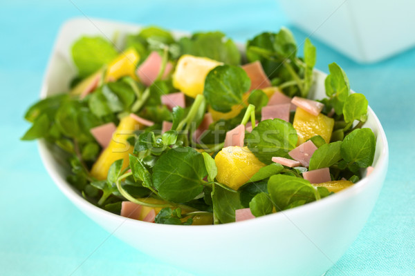 Watercress Pineapple Ham Salad Stock photo © ildi
