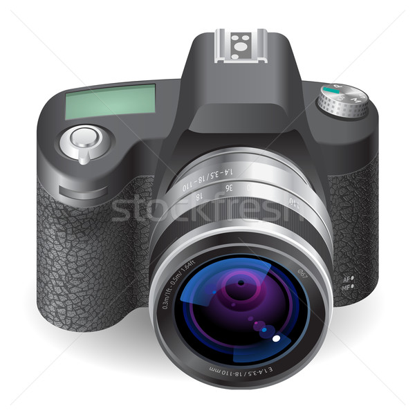 Icon for SLR camera Stock photo © ildogesto