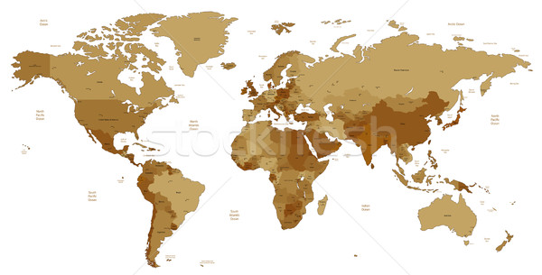 Brown detailed World map Stock photo © ildogesto