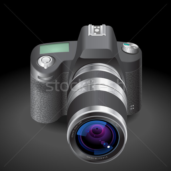 Icon for SLR camera Stock photo © ildogesto