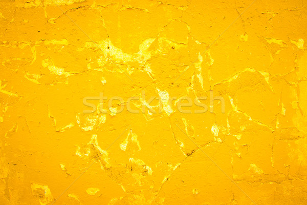 highly Detailed grunge background Stock photo © ilolab