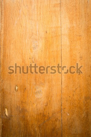 Stock macro photo of the texture of wood Stock photo © ilolab
