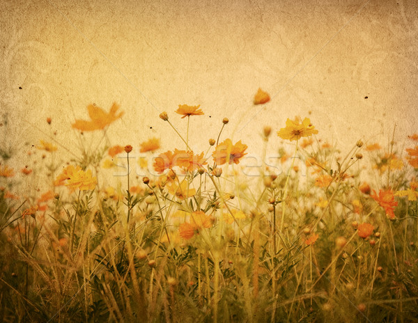 old flower paper  Stock photo © ilolab