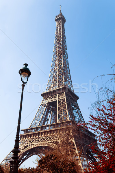 Eiffel Tower  Stock photo © ilolab