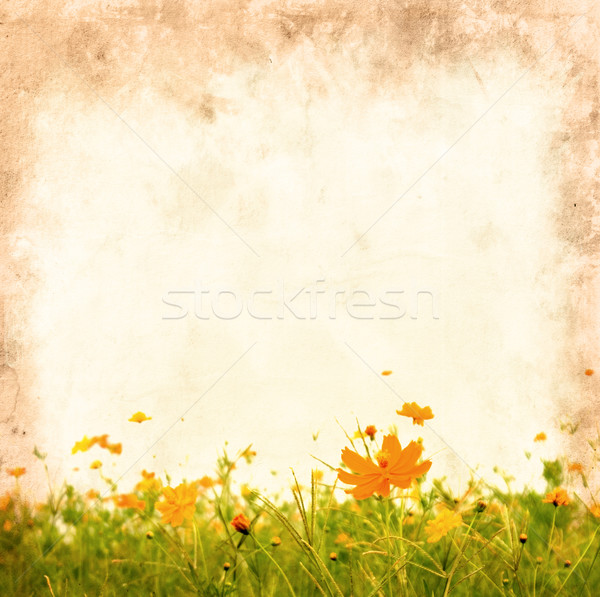 Eski çiçek kâğıt dokular mükemmel uzay Stok fotoğraf © ilolab