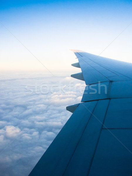 Błękitne niebo chmury widok z lotu ptaka biznesmen znaki skrzydełka Zdjęcia stock © ilolab