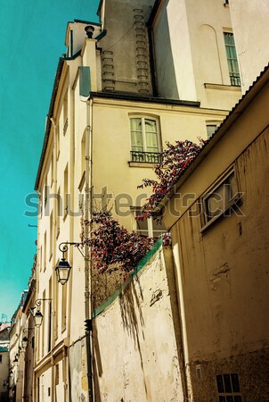 美しい パリジャン 通り パリ フランス スペース ストックフォト © ilolab
