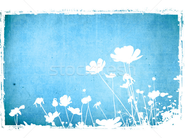 Fleur résumé floral style textures espace [[stock_photo]] © ilolab