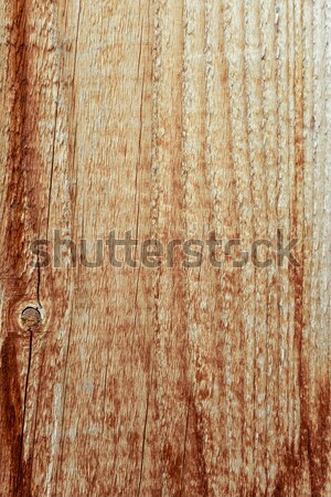 texture of wood Stock photo © ilolab