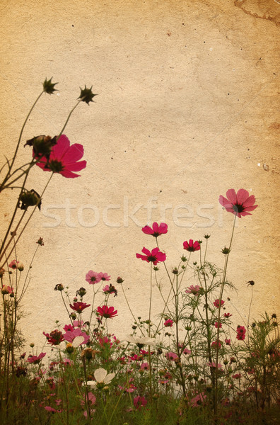 old flower paper textures  Stock photo © ilolab