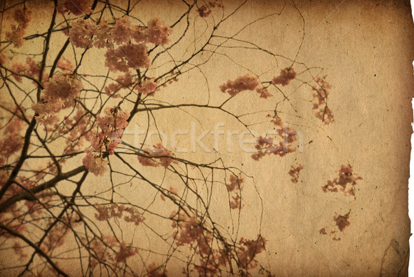 Vintage paper floral Stock photo © ilolab