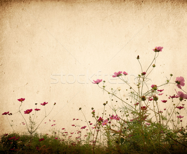Jahrgang Blume Papier Buch Blatt Hintergrund Stock foto © ilolab