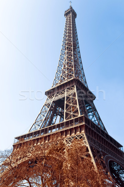 Eiffel Tower  Stock photo © ilolab