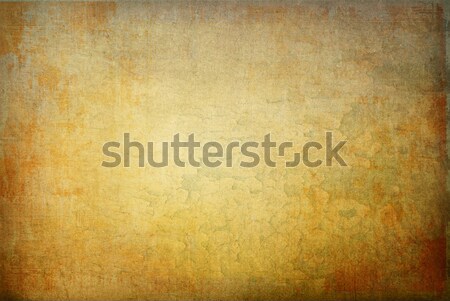 highly Detailed grunge background frame Stock photo © ilolab