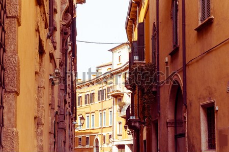 antique city building in paris Stock photo © ilolab