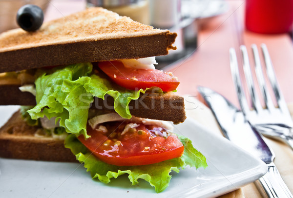 Sandwich with chicken, cheese Stock photo © ilolab