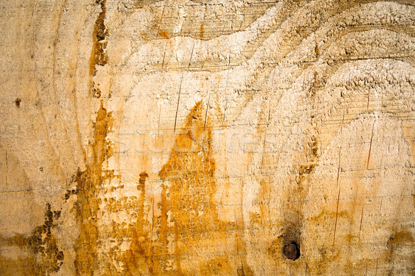 Holz Wand Textur Jahrgang befleckt Hintergrund Stock foto © ilolab