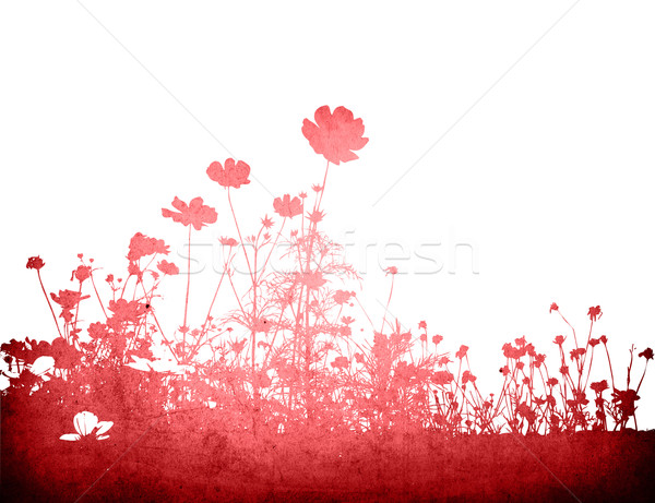 Kwiatowy stylu tekstury przestrzeni tekst obraz Zdjęcia stock © ilolab
