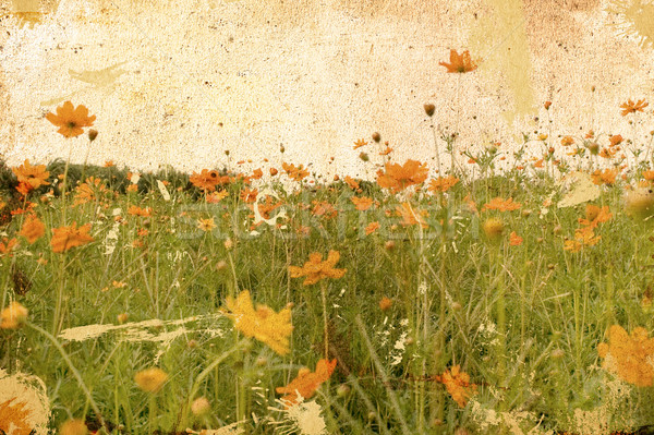 Stock photo: old flower paper textures 