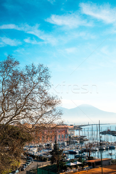 Street view of Naples harbor with boats, italy Europe Stock photo © ilolab