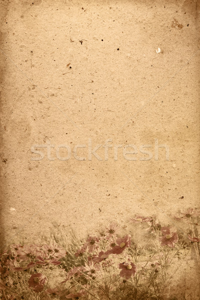 Vintage papieru kwiatowy starych tekstury Zdjęcia stock © ilolab