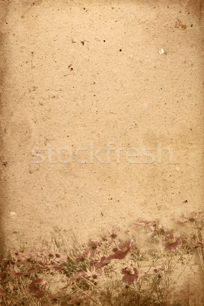 Foto d'archivio: Vintage · carta · floreale · vecchio · texture