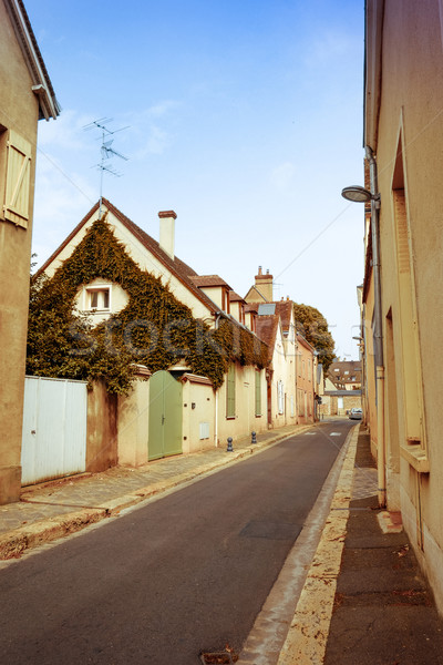 beautiful view house in France Stock photo © ilolab