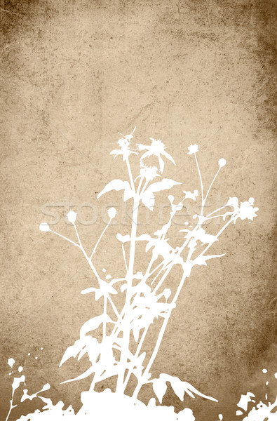 Kwiat streszczenie kwiatowy stylu tekstury przestrzeni Zdjęcia stock © ilolab