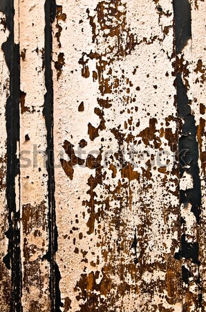 Stock photo: Stock macro photo-the texture of wood