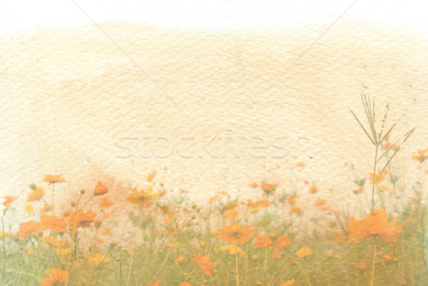 old flower paper textures Stock photo © ilolab