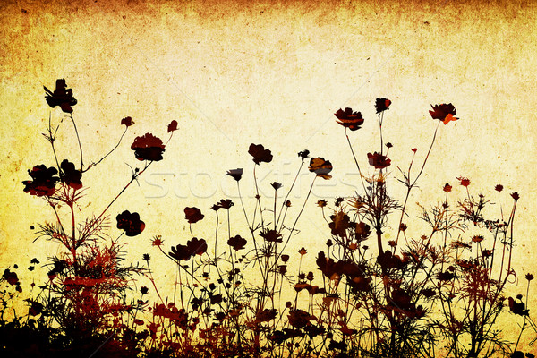 Virágmintás stílus textúrák űr szöveg kép Stock fotó © ilolab