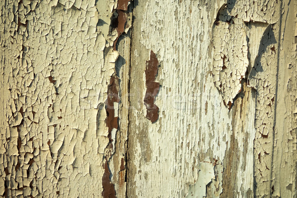 Holz Wand Textur Jahrgang befleckt Hintergrund Stock foto © ilolab