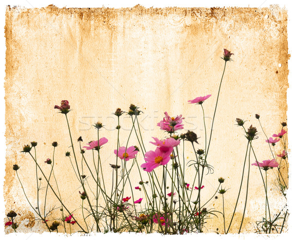 Jahrgang Papier floral alten schäbig Texturen Stock foto © ilolab