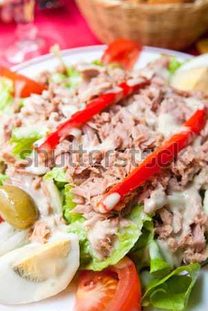 Stockfoto: Vers · zeevruchten · salade · gerookte · zalm · blad · olie