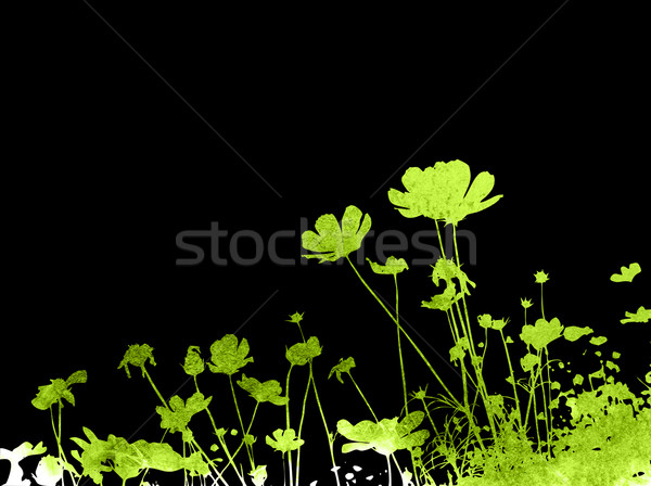 Blume abstrakten floral Stil Texturen Raum Stock foto © ilolab