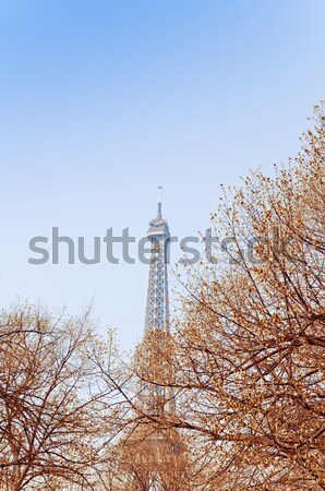 Eiffel Tower  Stock photo © ilolab