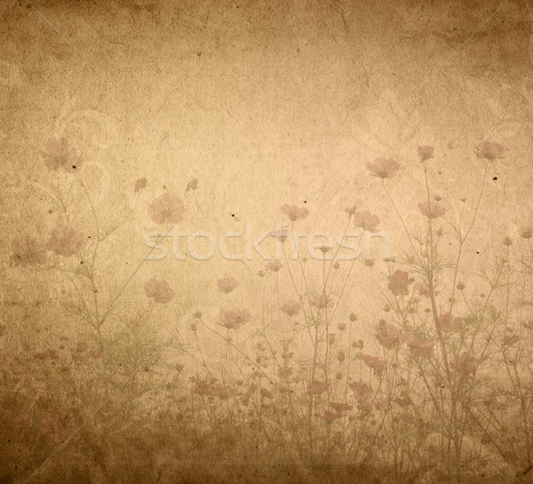 Stock foto: Alten · Blume · Papier · Texturen · perfekt · Raum