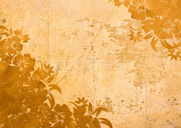 asia style textures  Stock photo © ilolab