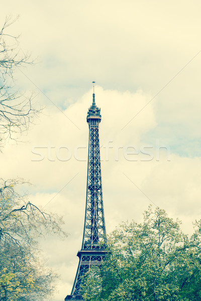 The Eiffel Tower Stock photo © ilolab