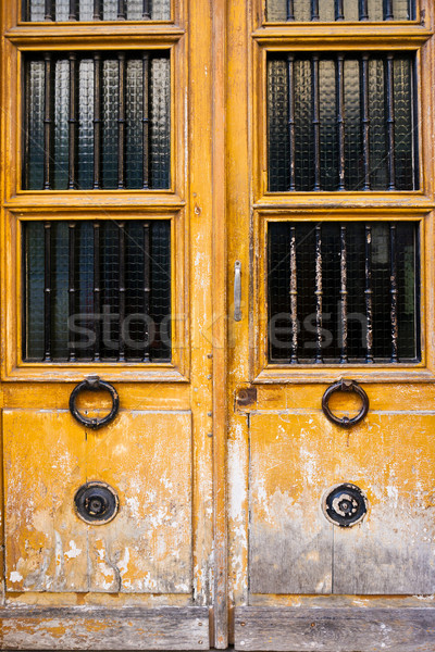 двери Гранж текстуры фоны дома Сток-фото © ilolab